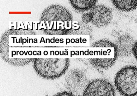Grafic despre hantavirus care întreabă dacă virusul Andes ar putea provoca o nouă pandemie